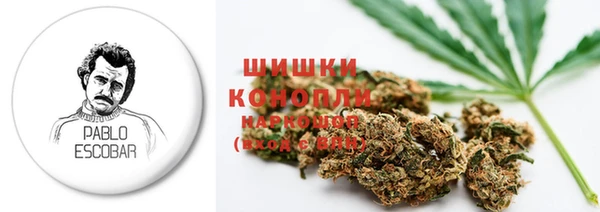 бошки Алексин