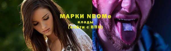 бошки Алексин