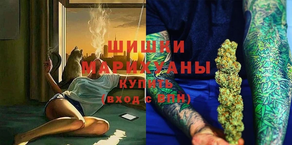 бошки Алексин