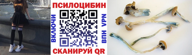 Псилоцибиновые грибы прущие грибы сколько стоит darknet официальный сайт Юрьев-Польский